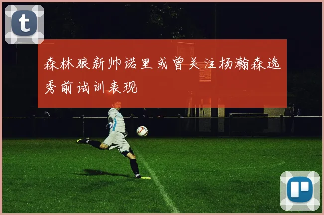 森林狼新帅诺里或曾关注杨瀚森选秀前试训表现